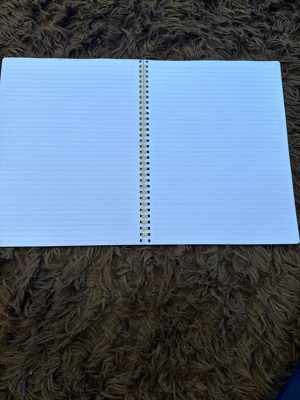 Soft back 8.5 x 11 Journal