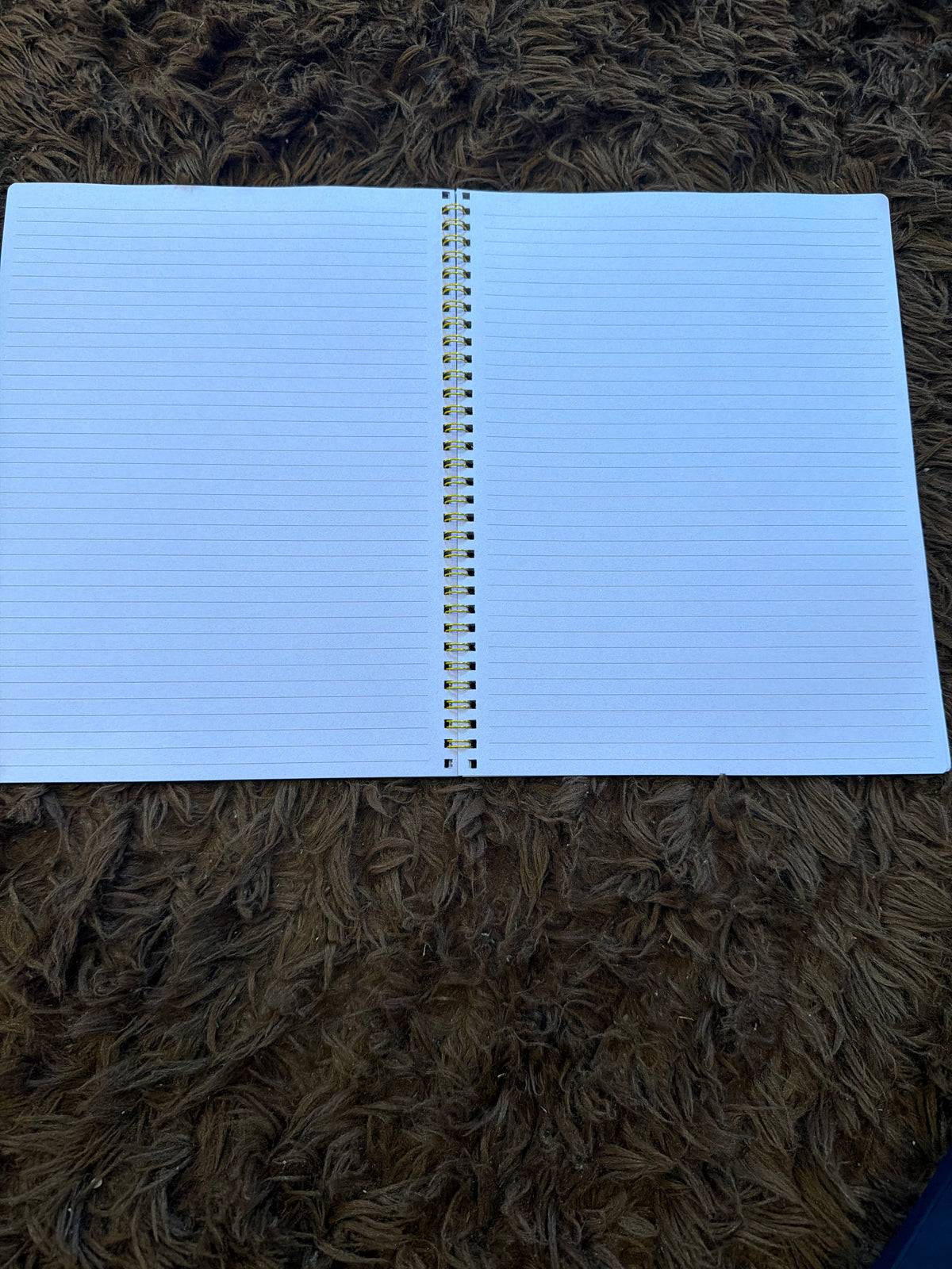 Soft back 8.5 x 11 Journal