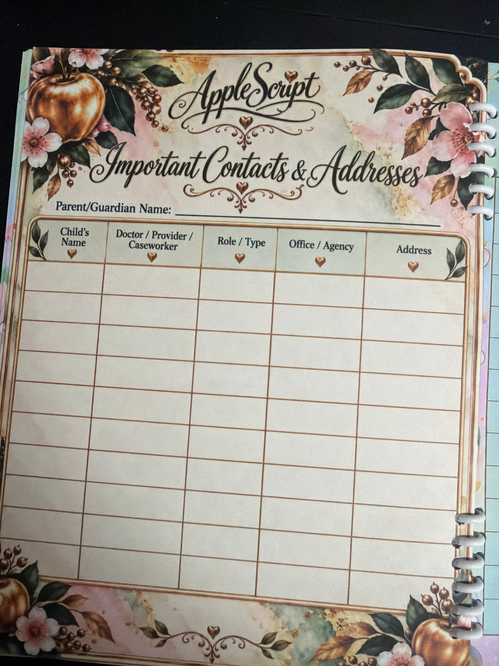AppleScript Everyday Planner