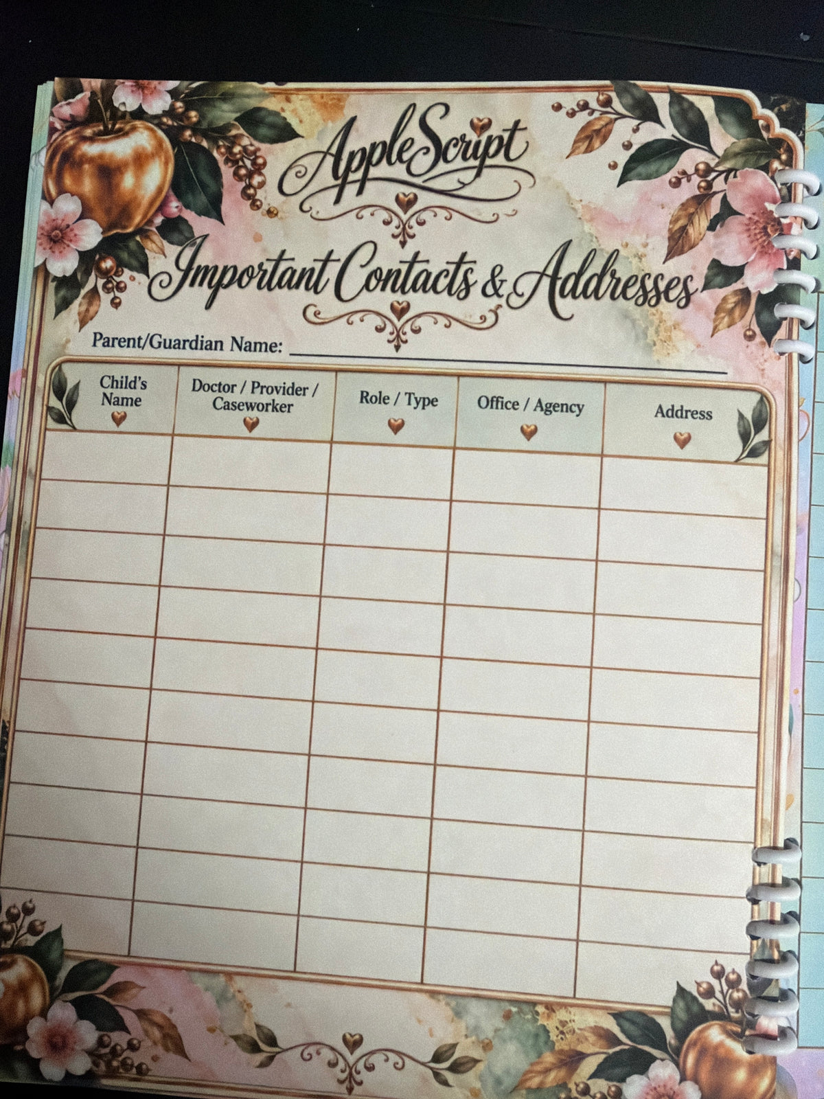 AppleScript Everyday Planner