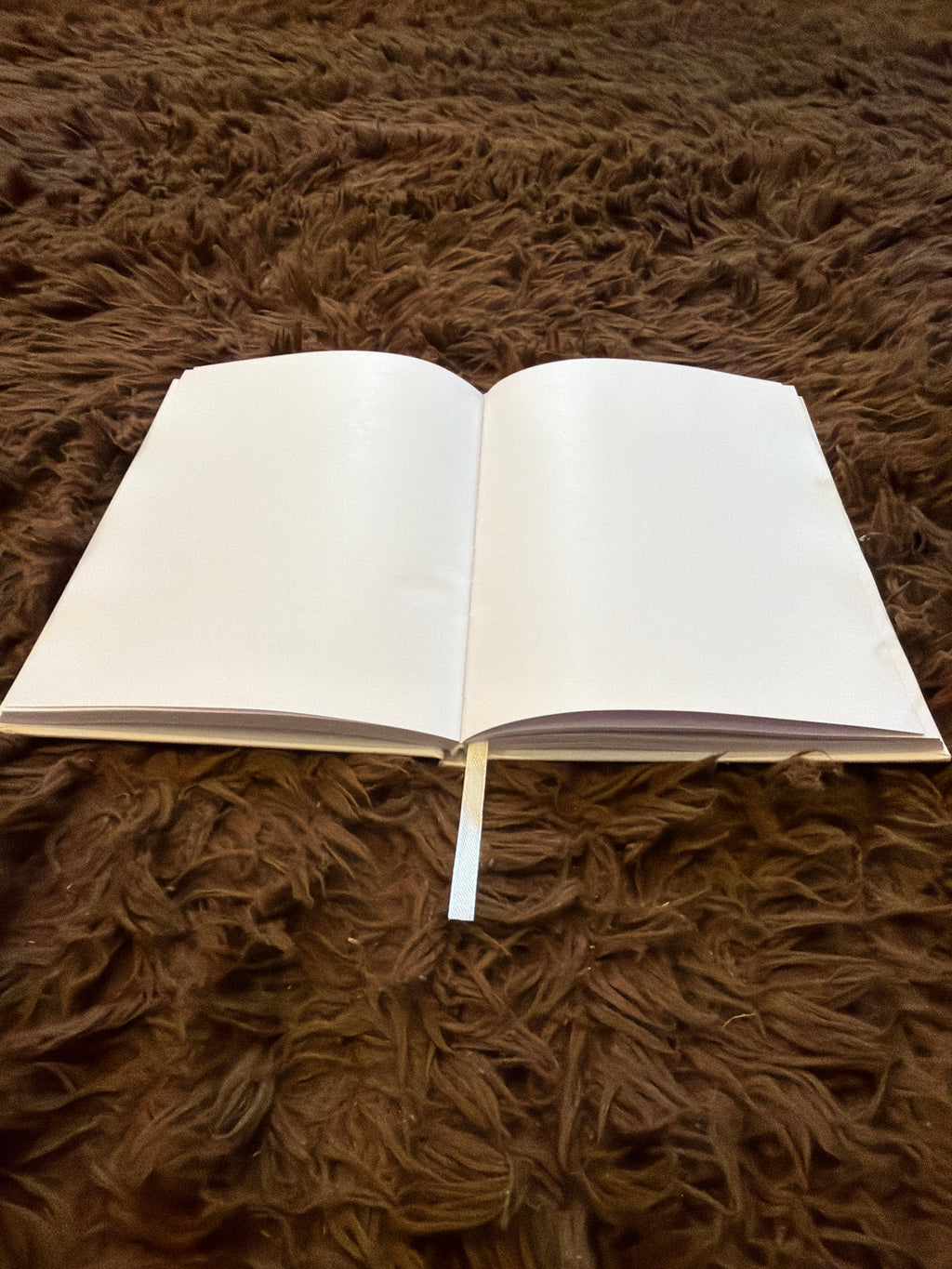 Signature AppleScript Journal