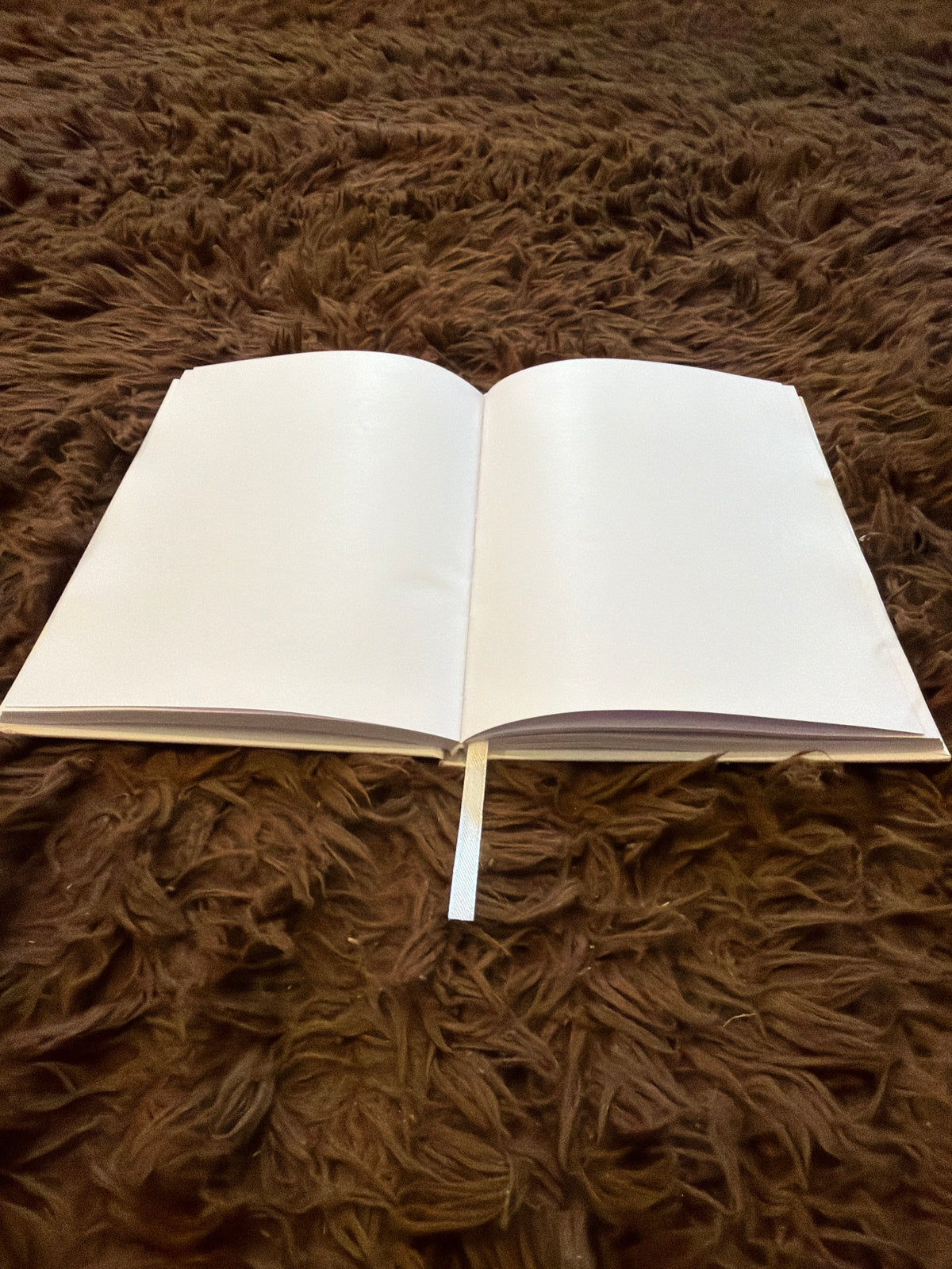Signature AppleScript Journal